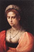 PULIGO, Domenico Portrait of a Lady agf oil painting picture wholesale